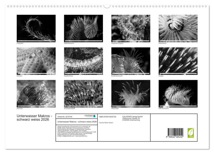 Produktbild: Unterwasser Makros - schwarz weiss 2026 (hochwertiger Premium Wandkalender 2026 DIN A2 quer), Kunstdruck in Hochglanz
