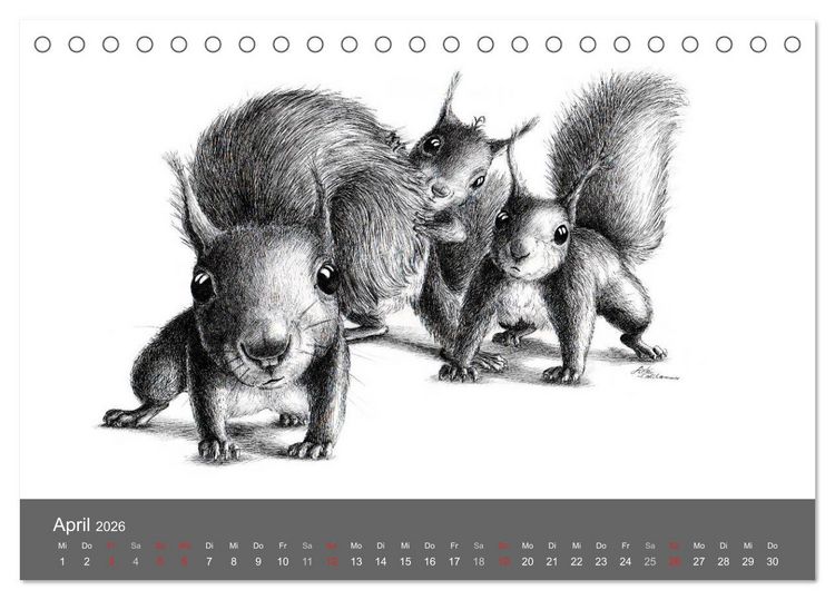 Produktbild: owls & friends 2026 (Tischkalender 2026 DIN A5 quer), CALVENDO Monatskalender