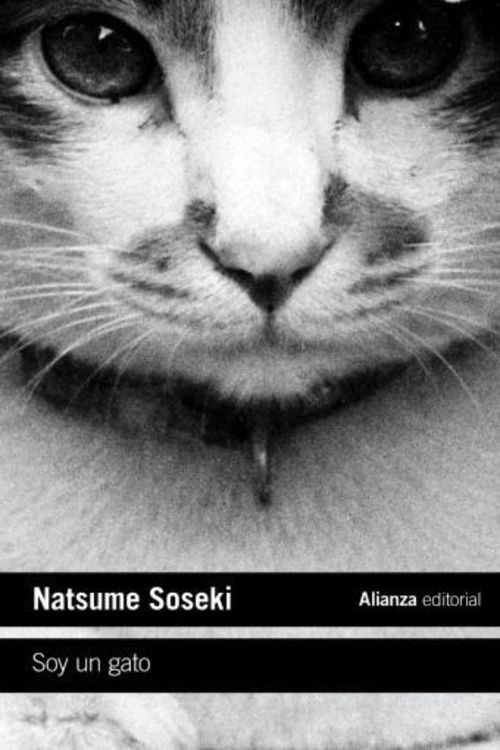 Produktbild: Soy un gato