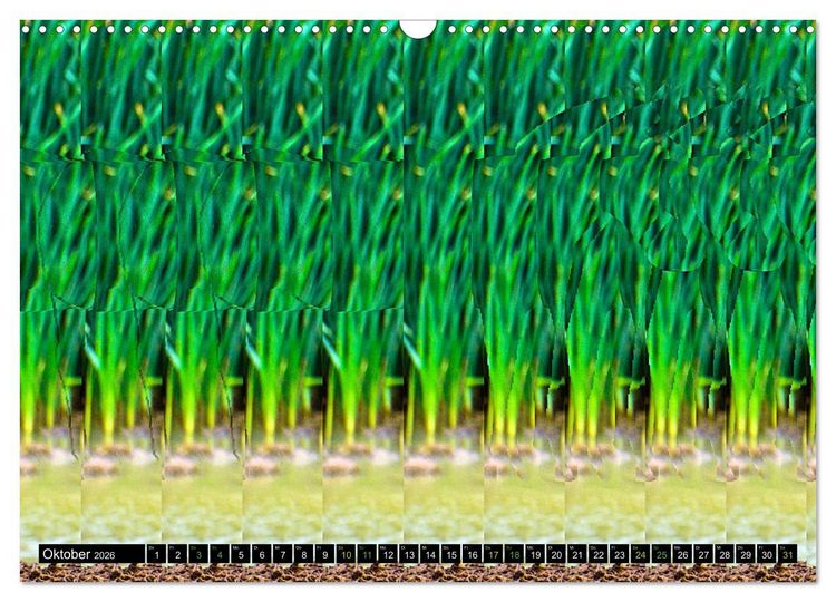 Produktbild: Magische Bilder - Stereogramme und 3D-Illusionen (Wandkalender 2026 DIN A3 quer), CALVENDO Monatskalender