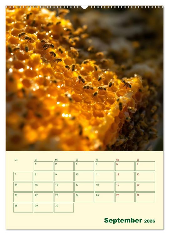 Produktbild: Bienenblick &ndash; Ein Jahr mit den Bienen (Wandkalender 2026 DIN A2 hoch), CALVENDO Monatskalender