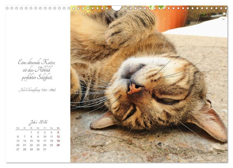 Produktbild: Catlovers - Ein Jahr voller Samtpfoten und charmanten Weisheiten (Wandkalender 2026 DIN A3 quer), CALVENDO Monatskalender