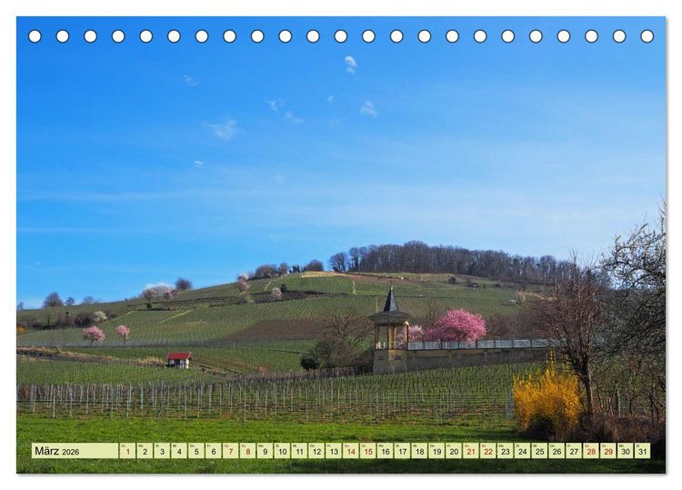 Produktbild: Weinregion Bergstra&szlig;e Burgen, Wein und Mandelbl&uuml;te (Tischkalender 2026 DIN A5 quer), CALVENDO Monatskalender