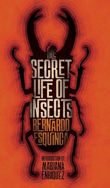 Produktbild: The Secret Life of Insects and Other Stories