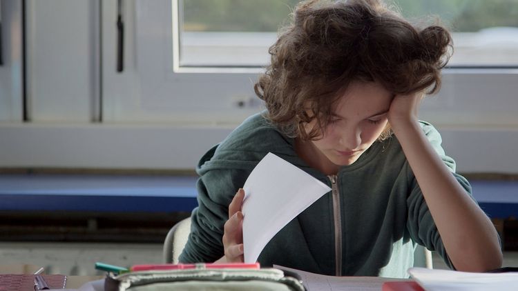 Produktbild: Schule Schule - Die Zeit nach Berg Fidel (+ Bonus-DVD)