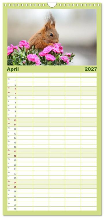 Produktbild: Familienplaner 2027 - Eichh&ouml;rnchen Momentaufnahmen f&uuml;rs Herz mit 5 Spalten (Wandkalender, 21 x 45 cm) CALVENDO