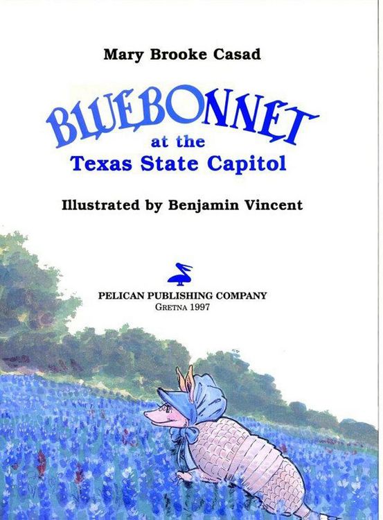 Produktbild: Bluebonnet at the Texas State Capitol