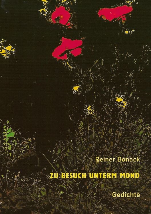 Produktbild: Zu Besuch unterm Mond