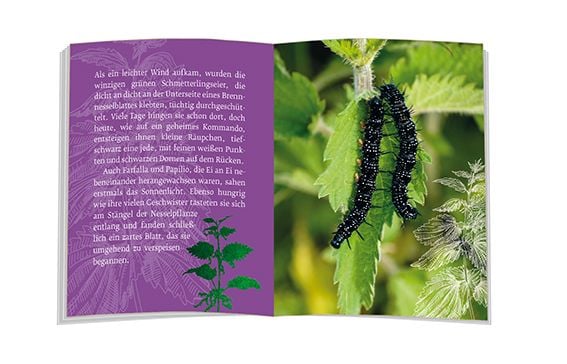 Produktbild: Das M&auml;rchen vom Schmetterling