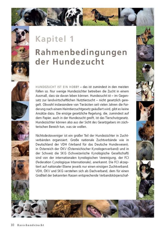 Produktbild: Rassehundezucht