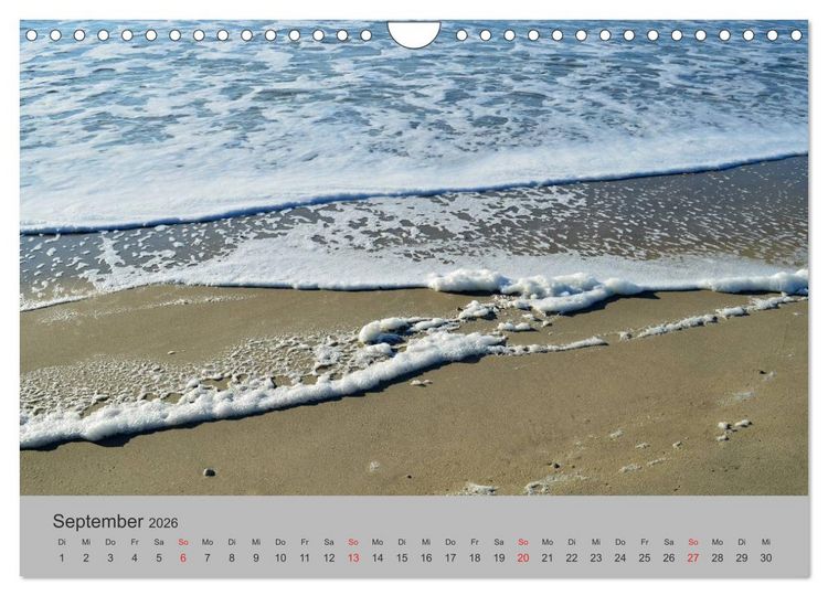 Produktbild: Impressionen von Texel (Wandkalender 2026 DIN A4 quer), CALVENDO Monatskalender