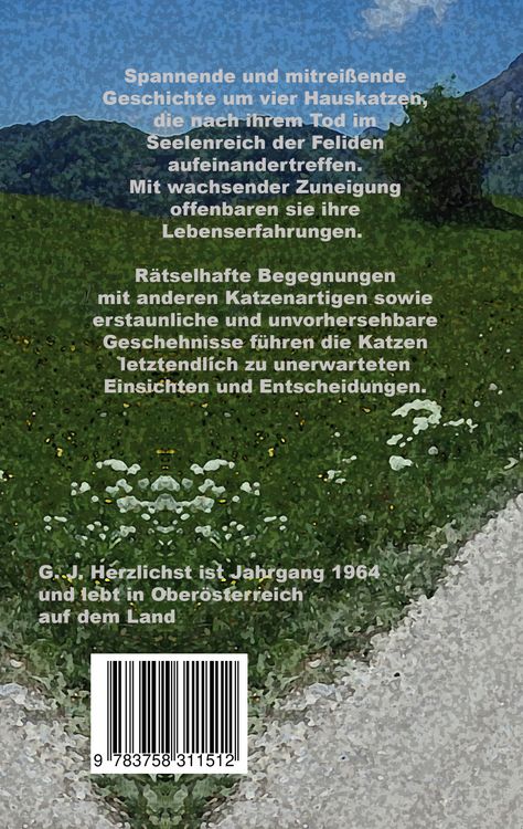 Produktbild: Wo alle Katzen hingehen