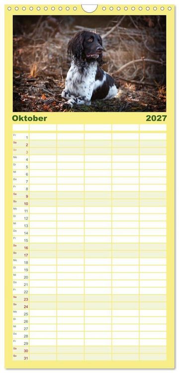 Produktbild: Familienplaner 2027 - Passion Jagdhund - Deutsch Langhaar mit 5 Spalten (Wandkalender, 21 x 45 cm) CALVENDO