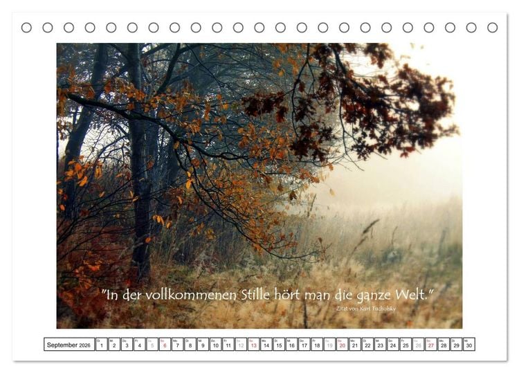 Produktbild: Zitate - Sammlung (Tischkalender 2026 DIN A5 quer), CALVENDO Monatskalender