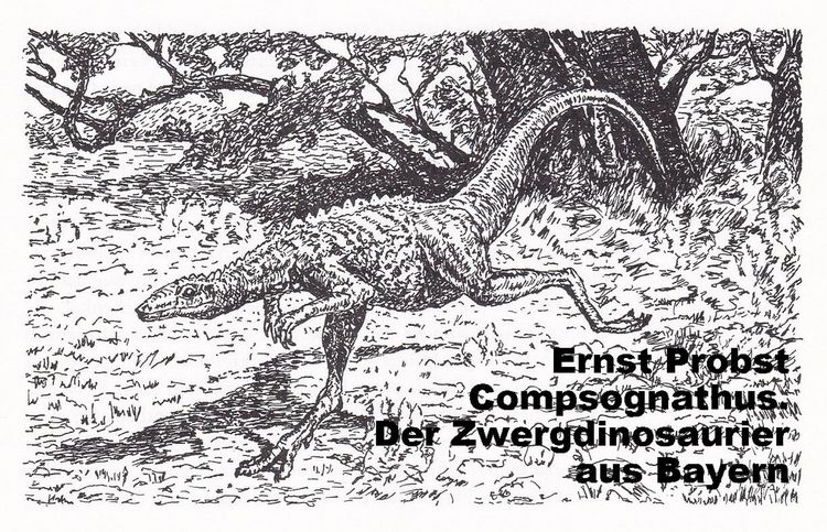 Produktbild: Compsognathus. Der Zwergdinosaurier aus Bayern