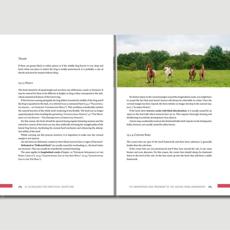 Produktbild: Hoofwork