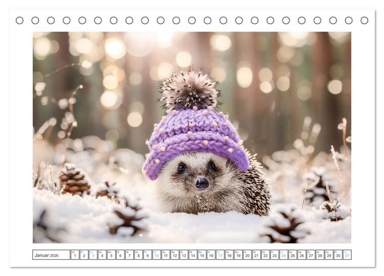 Produktbild: Lustige Igel (Tischkalender 2026 DIN A5 quer), CALVENDO Monatskalender