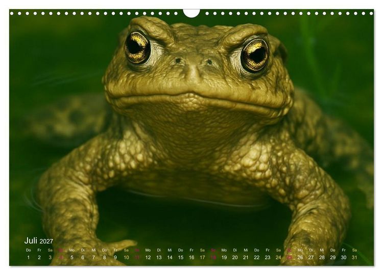 Produktbild: Reges Leben im Naturweiher - Tiere &uuml;ber und unter Wasser (Wandkalender 2027 DIN A3 quer), CALVENDO Monatskalender