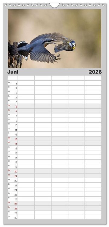 Produktbild: Familienplaner 2026 - V&ouml;gel, Gefiederte Sch&ouml;nheiten mit 5 Spalten (Wandkalender, 21 x 45 cm) CALVENDO
