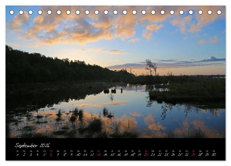 Produktbild: Im Goldenstedter Moor (Tischkalender 2026 DIN A5 quer), CALVENDO Monatskalender
