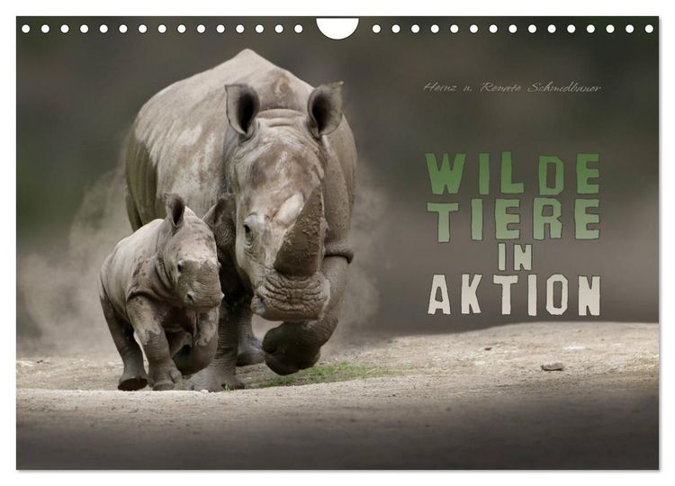 Produktbild: WILDE TIERE IN AKTION (Wandkalender 2027 DIN A4 quer), CALVENDO Monatskalender