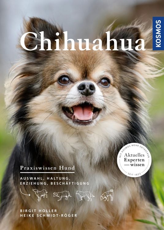 Produktbild: Chihuahua