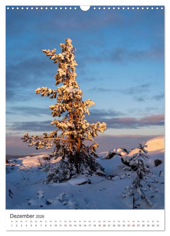 Produktbild: Winter in Lappland - Bezaubernde Sch&ouml;nheit (Wandkalender 2026 DIN A3 hoch), CALVENDO Monatskalender