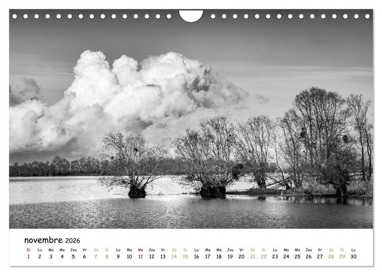 Produktbild: Terres de contraste &ndash; Une ann&eacute;e en monochrome (Calendrier mural 2026 DIN A4 vertical), CALVENDO calendrier mensuel