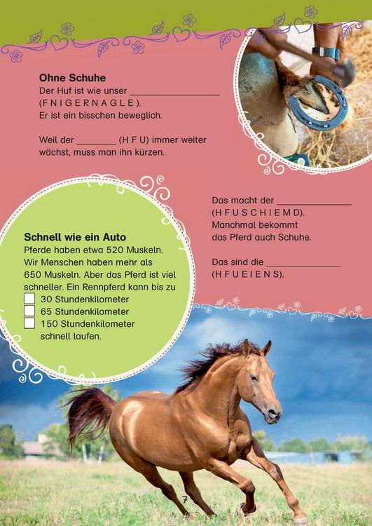 Produktbild: Bibi & Tina: Das gro&szlig;e Pferde-Quizbuch mit Bibi und Tina