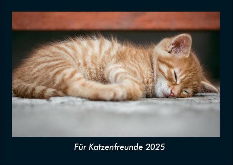 Produktbild: F&uuml;r Katzenfreunde 2025 Fotokalender DIN A4