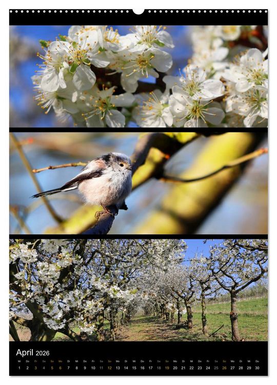 Produktbild: Bezaubernde Farben der Natur (Wandkalender 2026 DIN A2 hoch), CALVENDO Monatskalender