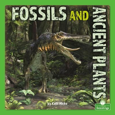 Produktbild: Fossils and Ancient Plants