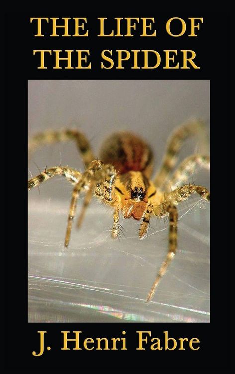 Produktbild: The Life of the Spider