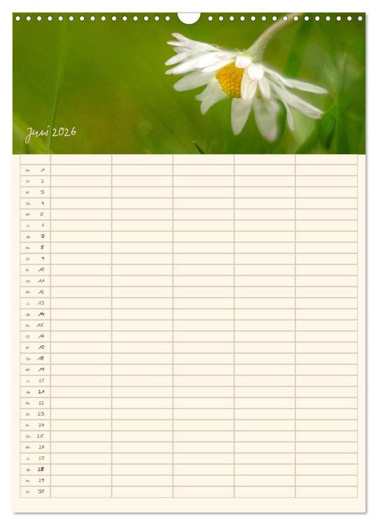 Produktbild: Mit Blick in den Garten (Wandkalender 2026 DIN A3 hoch), CALVENDO Monatskalender