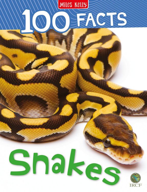 Produktbild: Snakes