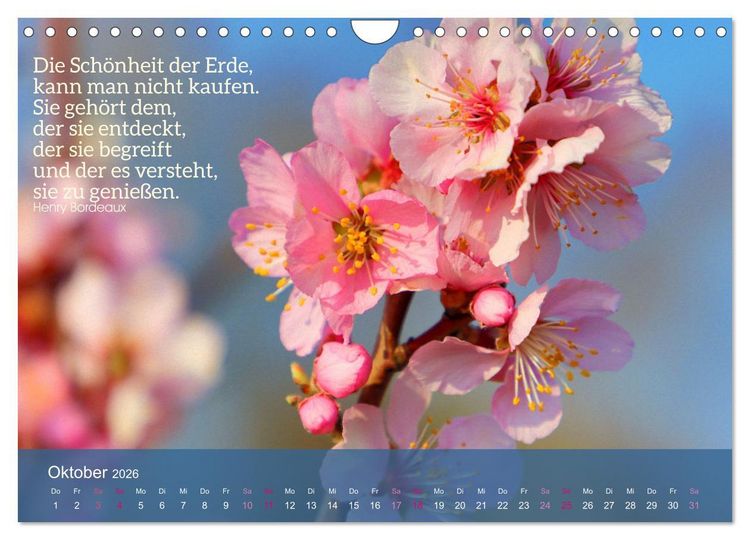 Produktbild: FASZINATION MANDELBL&Uuml;TE (Wandkalender 2026 DIN A4 quer), CALVENDO Monatskalender