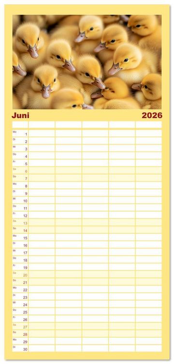 Produktbild: Familienplaner 2026 - Kuschelblicke mit 5 Spalten (Wandkalender, 21 x 45 cm) CALVENDO