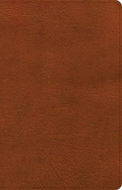 Produktbild: NASB Large Print Thinline Bible, Burnt Sienna Leathertouch