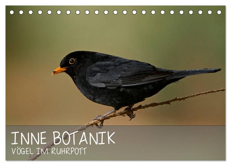 Produktbild: INNE BOTANIK - V&ouml;gel im Ruhrpott (Tischkalender 2026 DIN A5 quer), CALVENDO Monatskalender