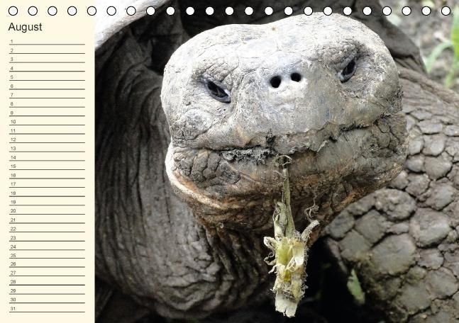 Produktbild: Gal&aacute;pagos Geburtstagskalender (Tischkalender immerw&auml;hrend DIN A5 quer)