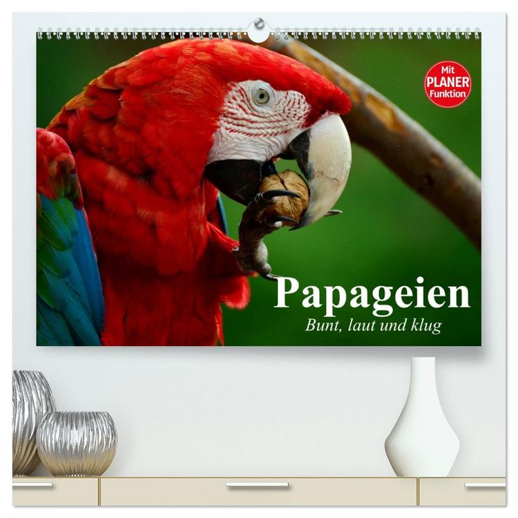 Produktbild: Papageien. Bunt, laut und klug (hochwertiger Premium Wandkalender 2026 DIN A2 quer), Kunstdruck in Hochglanz