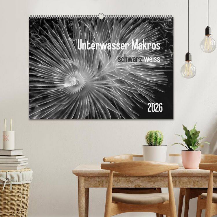 Produktbild: Unterwasser Makros - schwarz weiss 2026 (Wandkalender 2026 DIN A2 quer), CALVENDO Monatskalender