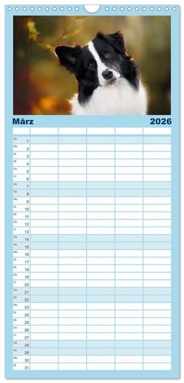 Produktbild: Familienplaner 2026 - H&uuml;tehunde - H&uuml;ter der Herzen mit 5 Spalten (Wandkalender, 21 x 45 cm) CALVENDO