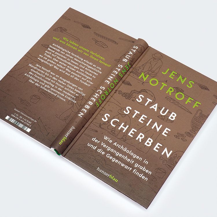 Produktbild: Staub, Steine, Scherben