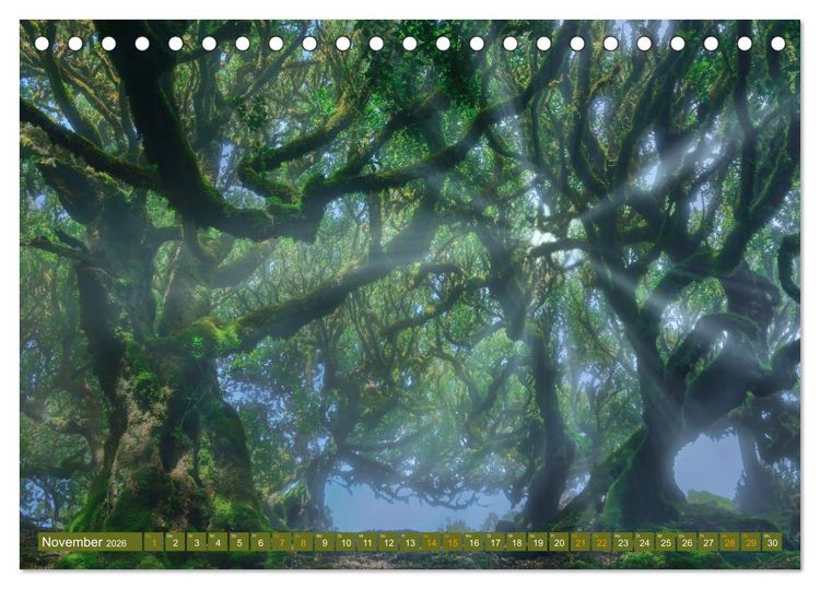 Produktbild: Madeira - Fr&uuml;hlingsinsel im Atlantik (Tischkalender 2026 DIN A5 quer), CALVENDO Monatskalender