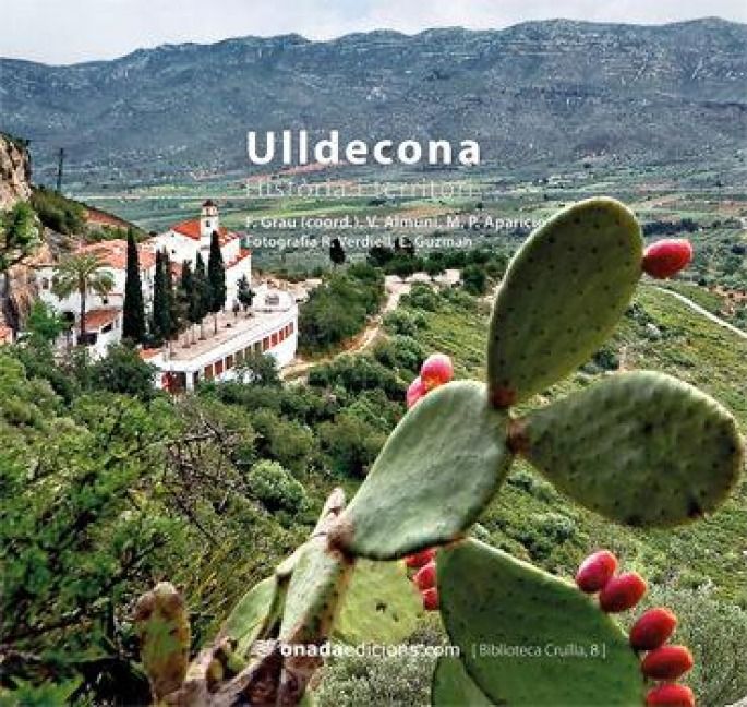 Produktbild: Ulldecona : hist&ograve;ria i territori