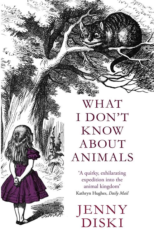 Produktbild: What I Don't Know About Animals