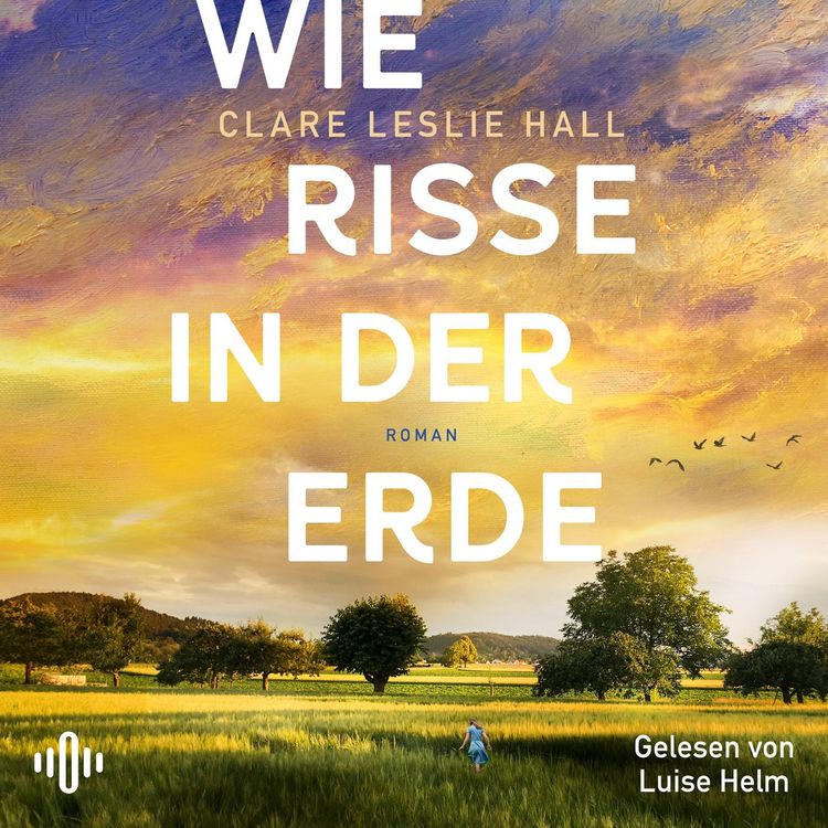 Produktbild: Wie Risse in der Erde