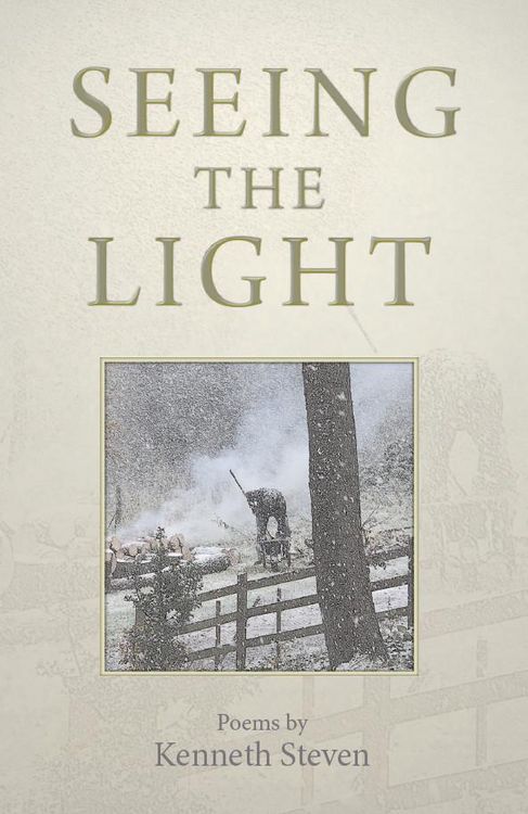 Produktbild: Seeing the Light