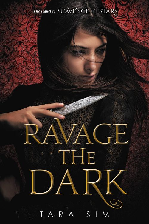Produktbild: Ravage the Dark